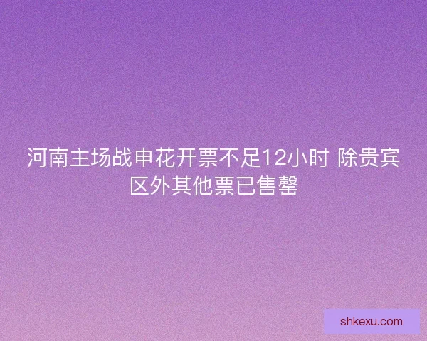 河南主场战申花开票不足12小时 除贵宾区外其他票已售罄