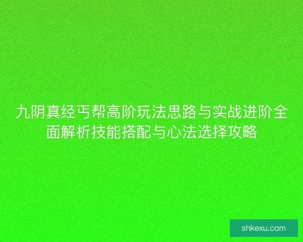 九阴真经丐帮高阶玩法思路与实战进阶全面解析技能搭配与心法选择攻略